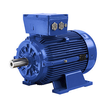 Moteur asynchrone - D5T series - Marelli Motori S.p.A. - AC / 690 V / en fonte