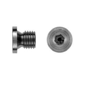 Bouchon cylindrique - DIN 908 G - Lederer - fileté / en acier inoxydable / de filetage
