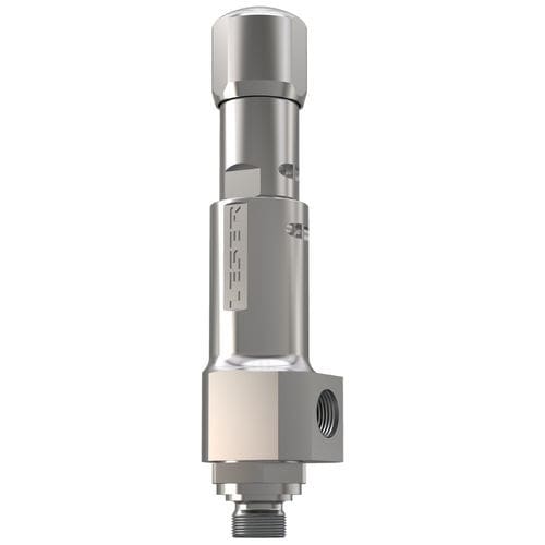 Soupape de sécurité à gaz - 439 - LESER GmbH & Co. KG - NPT / DIN / basse pression