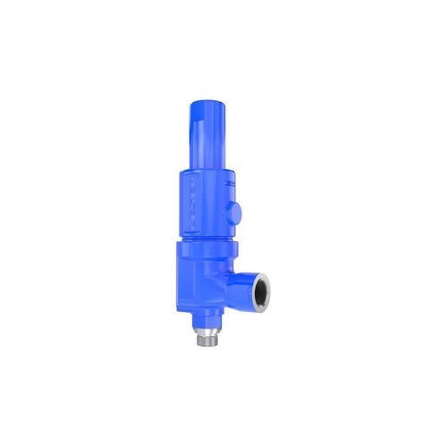 Soupape de sécurité pour gaz - 462 HDD - LESER GmbH & Co. KG - NPT / pour compresseur / en acier inoxydable