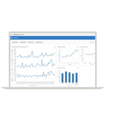 Logiciel d'analyse - Analytics - Oracle - d'interface / de visualisation / de reporting