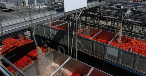 Ligne de transformation de tomates - FBR-ELPO