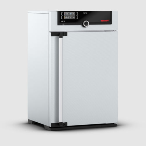 Étuve à chambre - UF75m - Memmert GmbH + Co. KG - électrique / à convection forcée / en inox