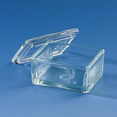 Cuve à coloration de Schiefferdecker - 472500 - BRAND - de lame porte-objet / en verre / en chaux sodée