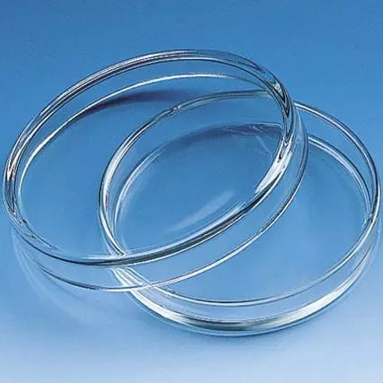 Boîte de Petri en verre - 455701 - BRAND