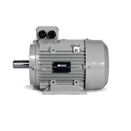 Moteur synchrone - MPM 30 - Merkes GmbH - Small Motors - triphasé / à aimants permanents / IP55