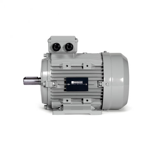 Moteur synchrone - MPM 16 - Merkes GmbH - Small Motors - triphasé / à aimants permanents / IP55