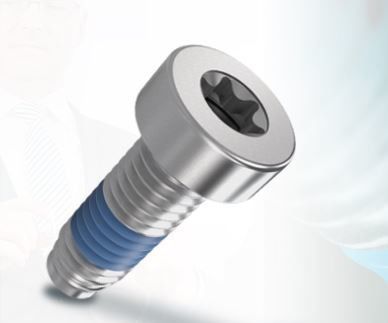 Vis de sécurité - ThreadLoc - Arnold Umformtechnik GmbH & Co. KG - d'assemblage / à tête cylindrique