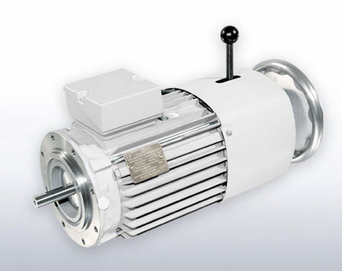 Moteur-frein asynchrone - VEM motors - AC / en fonte / durci