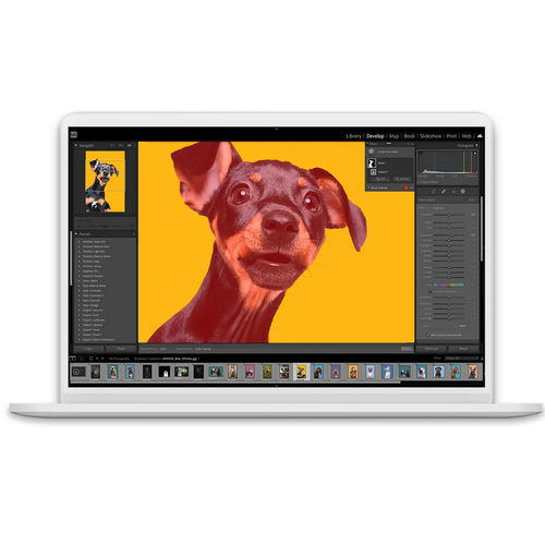 Logiciel de commande - Lightroom Classic - ADOBE - d'édition / d'imagerie / de couleur