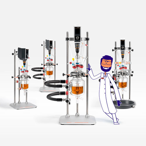 Réacteur à cuve agitée - Reactor-Ready™ Flex - Radleys - de laboratoire / de process / modulaire