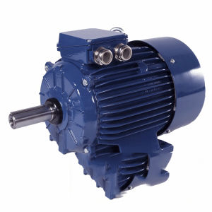 Moteur à plusieurs vitesses - PSh90L-4/2 - Cantoni Motor - à induction / triphasé / 400V