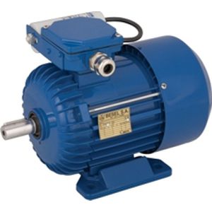 Moteur à induction - SEh90-4S - Cantoni Motor - monophasé / 380 V / IP55