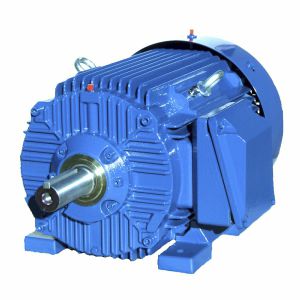 Moteur à induction - SIE213T2 - Cantoni Motor - triphasé / 460 V / en fonte