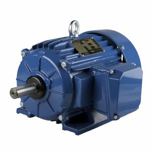 Moteur à induction - ESg213T-2 - Cantoni Motor - triphasé / 460 V / à rotor cage