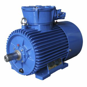 Moteur synchrone - dSg280S4-EP - Cantoni Motor - triphasé / 1000 V / en fonte