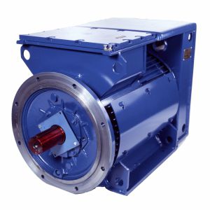 Moteur synchrone - 3SGf250M2A-E - Cantoni Motor - triphasé / 500 V / à cage d'écureuil