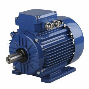 Moteur synchrone - ExSh56-2A T3 - Cantoni Motor - triphasé / 400V / en aluminium