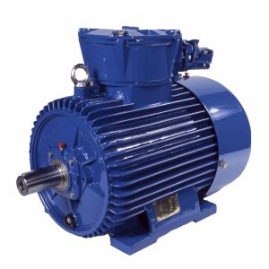 Moteur synchrone - (E)CSg132M6B - Cantoni Motor - triphasé / 400V / à cage d'écureuil