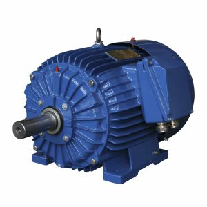 Moteur synchrone - ExSg112M-6-2G T4/2D - Cantoni Motor - triphasé / 400V / en aluminium
