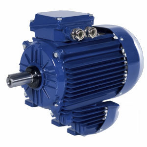 Moteur IE2 - 2SIE355H6C - Cantoni Motor - à induction / triphasé / 400V