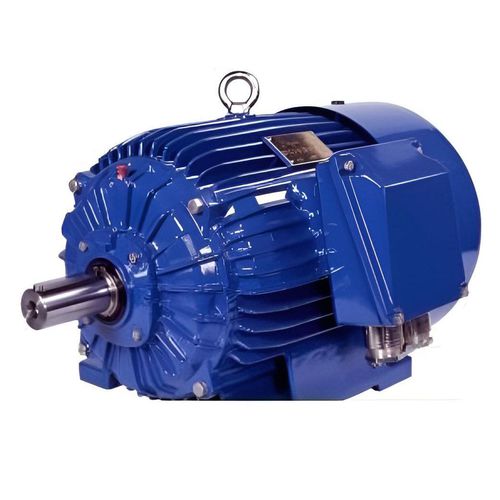 Moteur IE1 - 2Sg315M10 - Cantoni Motor - à induction / triphasé / 400V