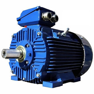 Moteur à induction - 3SIE355H6D - Cantoni Motor - triphasé / 400V / 380V