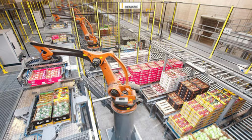 Palettiseur et dépalettiseur robotisé - AMCAP - DEMATIC - couche par couche / pour palettes / de caisse