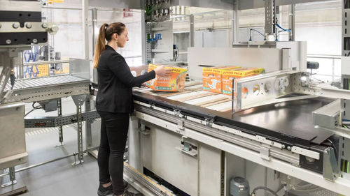 Palettiseur de paquets - DEMATIC - de palettes / pour denrées alimentaires / pour convoyage