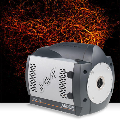 Caméra numérique - iXon Life - Andor Technology - pour applications scientifiques / de détection / visible