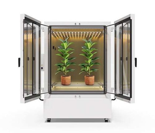 Chambre de croissance pour les plantes - KBF PRO - BINDER - sur roulettes