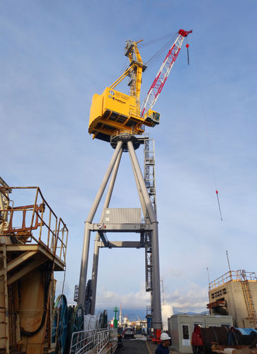 Grue sur rail - RBC 30 - CIMOLAI TECHNOLOGY - à flèche / pour applications marines / de levage