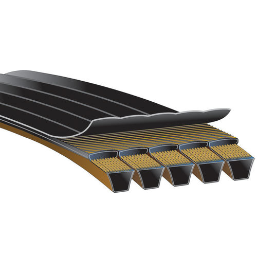 Courroie en V - PREDATOR® POWERBAND® - Gates - en chloroprène / en néoprène® / de poulie