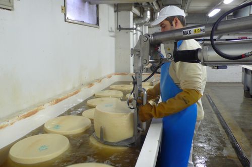 Manipulateur pneumatique - ATISmirus 80 - ATIS s.r.l. - avec prise / de fromage / pour manutention