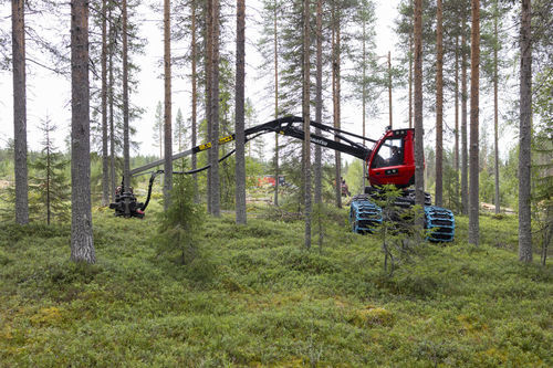 Abatteuse forestière sur pneus - 901XC-7 - KOMATSU Forest