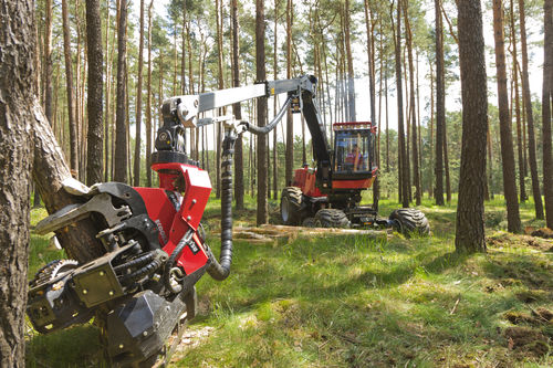 Abatteuse forestière sur pneus - 901 - KOMATSU Forest