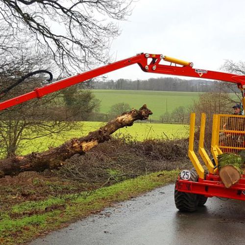 Grue à flêche articulée pour abatteuse forestière - XYLOGRUE - RABAUD