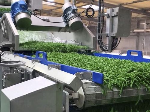 Convoyeur à bande - CEMMI - horizontal / de séchage / de légumes