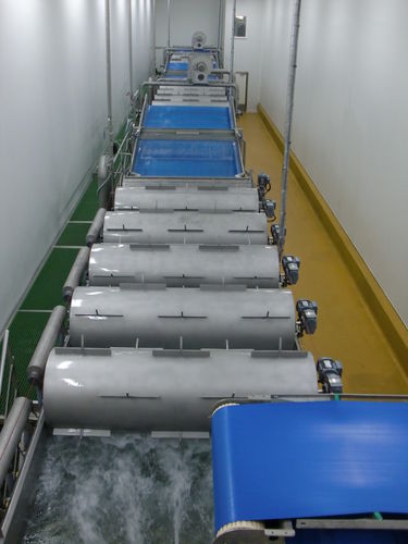 Ligne de lavage alimentaire pour légumes - CEMMI - pour fruits / automatique / avec convoyeur à bande