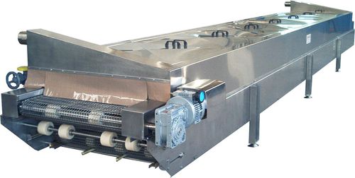 Stérilisateur à vapeur - TSST - TABANLI MAKINA SAN VE TIC LTD STI - tunnel