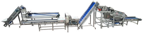 Ligne de traitement pour maïs - TABANLI MAKINA SAN VE TIC LTD STI