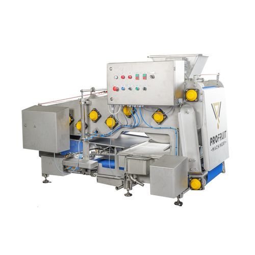 Extracteur de jus de fruits -  POWERPRESS 1200 - ProFruit Machinery - de pommes / de mûres / de myrtilles