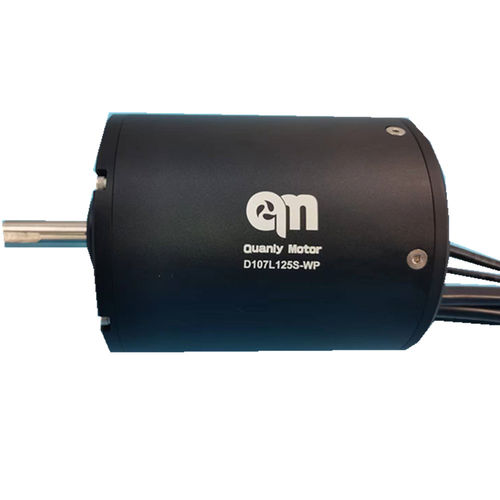 Moteur BLDC - D107L125-WP - Dongguan Tengfei Power Technology Co., Ltd. - DC / 20 V / 80 V
