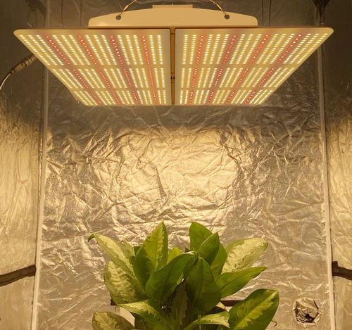 Plafonnier - PG02 - Hishine Group Limited - à LED / pour serre