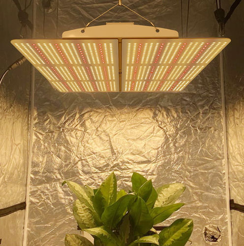 Plafonnier - PG02  - Hishine Group Limited - à LED / pour serre
