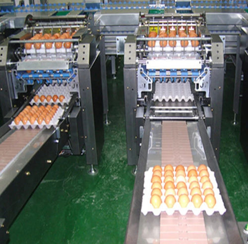 Machine de nettoyage agro-alimentaire pour oeufs - Shanghai Genyond Technology Co Ltd - automatique / à bande / pulvérisatrice