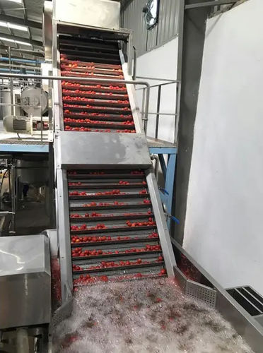 Ligne de transformation de tomates - Shanghai Genyond Technology Co Ltd - de lavage / d'épierrage / de triage