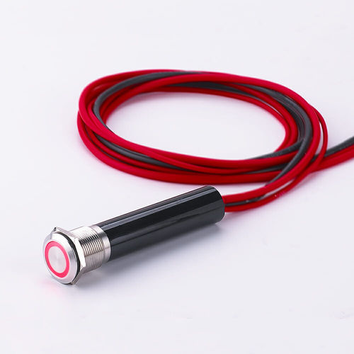 Interrupteur anti-vandale - L19Y - YUEQING DANPU ELECTRIC ( LANGIR ) CO.,LTD. - tactile / unipolaire / robuste