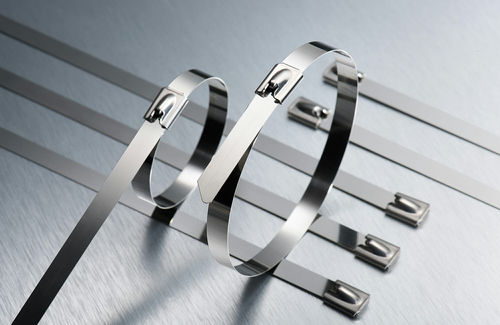 Collier de câblage en acier inoxydable - YUEQING DANPU ELECTRIC ( LANGIR ) CO.,LTD.