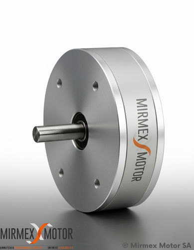 moteur électrique plat - MIRMEX MOTOR